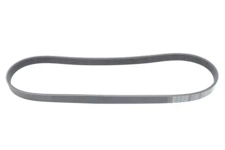 Ремінь поліклін. DAYCO 5PK872