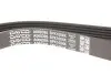 Дорожный пас DAYCO 6PK1004K (фото 3)