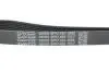 Ремень поликлиновый DAYCO 6PK1485 (фото 4)