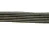 Ремень генератора Citroen Berlingo 1.6 00-08/ Nemo 1.4i 08- DAYCO 6PK1558 (фото 2)