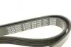 Ремень генератора Citroen Berlingo 1.6 00-08/ Nemo 1.4i 08- DAYCO 6PK1558 (фото 4)