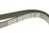 Ремень генератора Fiat Scudo/Citroen Berlingo/VW Golf IV 1.8/1.9TDI 97- DAYCO 6PK1660 (фото 4)