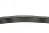 Ремень генератора VW LT 2.5TDI 96-01/Peugeot Expert 1.9D/2.0HDI 98- DAYCO 6PK1755 (фото 2)