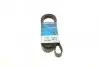 Ремень генератора Toyota Corolla 00-02 DAYCO 6PK1820 (фото 1)