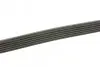 Ремень генератора MB C-class (W202) 2.0 95-01 DAYCO 6PK1865 (фото 2)