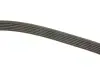 Ремінь генератора VW Crafter 2.5TDI (-AC) /MB OM601/602 (+PS) DAYCO 6PK2000 (фото 3)