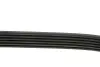 Ремень генератора MB C-class (W203) 00-02 DAYCO 6PK2135 (фото 3)
