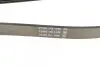 Ремень генератора Land Rover Discovery III 4.4 04-13 DAYCO 6PK2345 (фото 3)