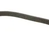 Ремінь генератора VW Passat/Audi A4 2.5TDI/3.2FSi 94- DAYCO 6PK2400 (фото 3)