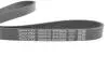Ремень поликлиновый (Выр-во) DAYCO 6PK962S (фото 3)