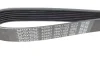 Ремень генератора BMW 3 (E90)/Opel Movano 2.0i/2.5DTI 03- DAYCO 7PK1103 (фото 4)