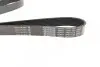 Ремень генератора Renault Master/Opel Movano 2.5 dCi 03-(-AC) DAYCO 7PK1153 (фото 2)
