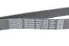 Ремень поликлиновый DAYCO 7PK1165S (фото 4)