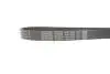 Ремень поликлиновый (Выр-во) DAYCO 7PK1334S (фото 3)