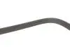 Ремень поликлиновый (Выр-во) DAYCO 7PK1334S (фото 4)
