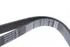 Ремень поликлиновый DAYCO 7PK1557S (фото 2)