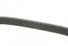 Ремінь генератора BMW 7 (E65) 4.0/4.5D 02-08/Honda Accord/Civic 2.0 01-08 DAYCO 7PK1759 (фото 3)