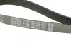 Ремінь генератора Mazda CX-7 2.2MZR-CD AWD 09-13 DAYCO 8PK1295 (фото 4)