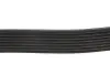 Ремінь генератора BMW 5 (F10)/ X5 (F15/F85) 3.5i/4.0i 09- DAYCO 8PK1478 (фото 4)