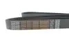 Дорожній пас DAYCO 8PK2085HD (фото 4)