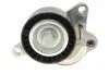 Натяжник ремня генератора Renault Trafic/Megane 2.0dCi/Master 2.3dCi 06-, (65x29.5) DAYCO APV3179 (фото 6)