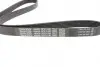 Комплект ременя генератора Fiat Punto 1.3D 03-12/Panda 04-/Ford KA 1.3TDCi 08-16 DAYCO KPV276 (фото 2)