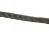 Комплект ремня генератора Ford Galaxy 2.0D 06-15 DAYCO KPV504 (фото 2)
