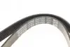 Комплект ремня генератора Ford Galaxy 2.0D 06-15 DAYCO KPV504 (фото 4)
