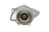Комплект ГРМ + насос Citroen Jumpy 2.0HDi/Fiat Scudo 2.0D Multijet 10-(25x116z) DAYCO KTBWP9670K (фото 6)