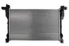 Радиатор охлаждения DENSO DRM09174 (фото 1)