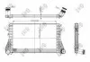 Радіатор інтеркулера PASSAT/TIGUAN 1.4-2.0 05- DEPO 053-018-0013 (фото 1)