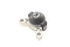 Подушка двигателя (R) Ford Connect 02- DP Group B 4003 (фото 7)