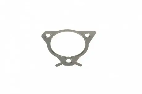 Прокладка паливного насоса Ford Connect 1.8Di/TDCI 02- DP Group ES 21417 ARI