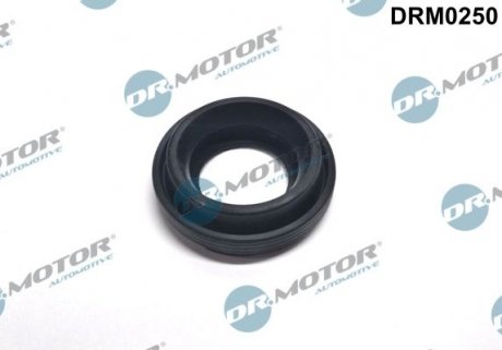 Кольцо резиновое. DR.MOTOR DRM0250