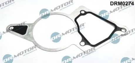 Прокладання двигуна. DR.MOTOR DRM0274