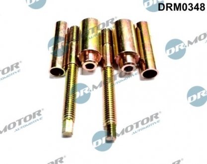 Комплект болтов двигателя. DR.MOTOR DRM0348