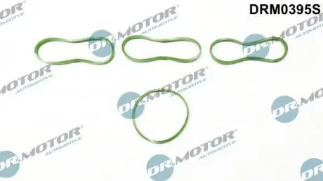 Набор резиновых прокладок. DR.MOTOR DRM0395S