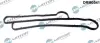Прокладка масляного радиатора Ford Transit 2.4D/TD 00-06 DR.MOTOR DRM0541 (фото 1)