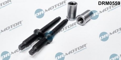 Комплект болтов двигателя. DR.MOTOR DRM0559