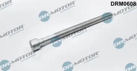 Болт с фигурной головкой DR.MOTOR DRM0608