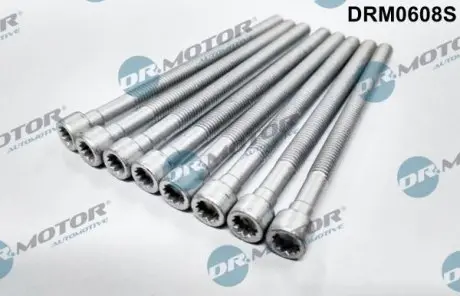 Комплект болтов двигателя. DR.MOTOR DRM0608S