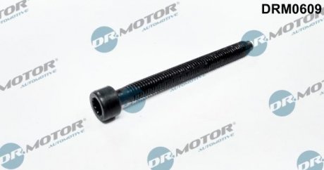 Болт із фігурною головкою DR.MOTOR DRM0609