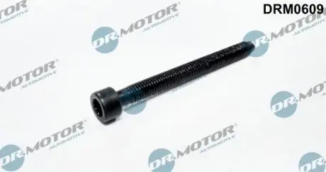 Болт с фигурной головкой DR.MOTOR DRM0609