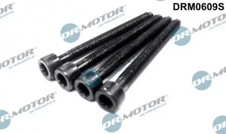 Комплект болтов двигателя. DR.MOTOR DRM0609S