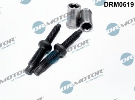 Набір двигунів болтів. DR.MOTOR DRM0619