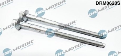 Набір двигунів болтів. DR.MOTOR DRM0623S