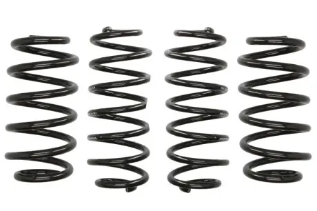 Комплект пружин Audi A4 (B8) 1.8TFSI/2.0TDI/TFSI 07-15 (4 шт.) EIBACH E10-15-011-01-22