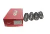 Комплект пружин (Pro-Kit) BMW X5 (G05/F95)/X6 (G06/F96) 3.0D/4.4 B57/N63 18-(4 шт.) EIBACH E10-20-044-02-22 (фото 1)