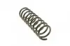 Пружина (задняя) BMW 5 (E39) 2.0-3.0d/2.0-4.4i (M47/M52/M57/M54/M51/M62 95-03 EIBACH R10115 (фото 2)