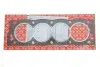 Прокладка ГБЦ Citroen Jumper 2.0i 94- (1.25mm) ELRING 219.071 (фото 1)